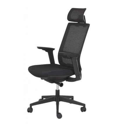 Fauteuil-Ergonomique-Carlo