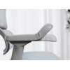 Fauteuil ergonomique ELITE EHE2