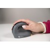 Souris PRF Sans Fil