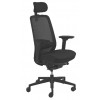 Fauteuil Ergonomique BUSY