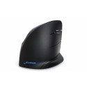 Souris EVOLUENT C - Droitiers Sans Fil