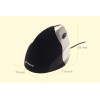 Souris EVOLUENT 3 - Droitiers