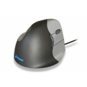 Souris EVOLUENT 4