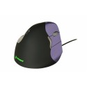 Souris EVOLUENT 4 Petit Modèle