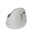 Souris EVOLUENT 4 Droite Bluetooth BLANCHE