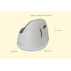 Souris EVOLUENT 4 Bluetooth