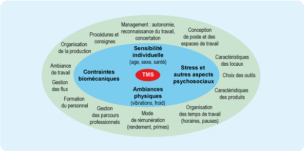 Facteurs Favorisants les TMS